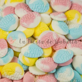 Conchas foam