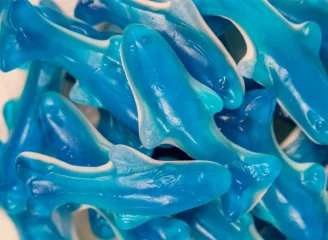 Delfines Azules