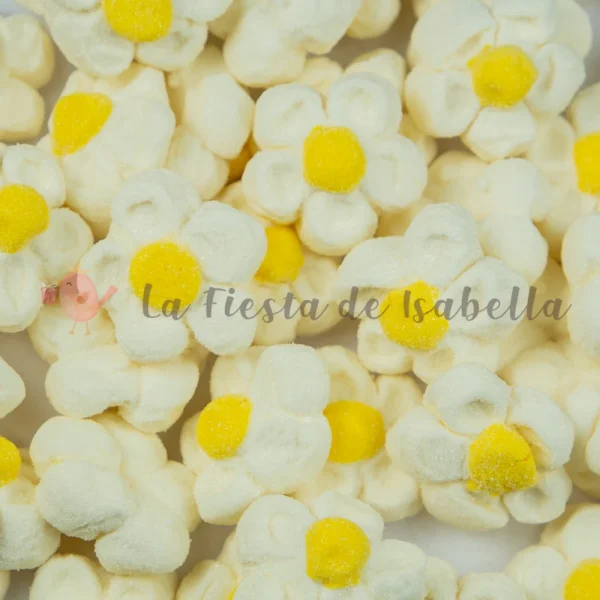 flores de espuma dulce blancas